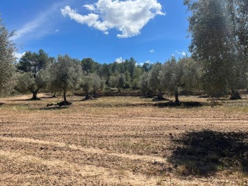 Terrenos en Arens de Lledó