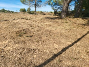 Land in Castellbisbal