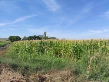 Casas rústicas en La Vega