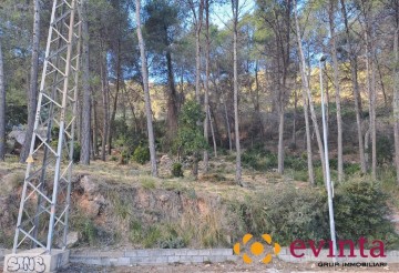 Terrenos en Selva Negra Catalana