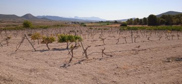 Terrenos en Ubeda