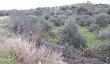 Terrenos en Zona Sur-Av. de España-San Miguel
