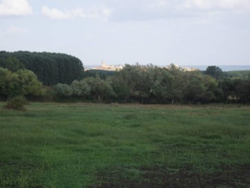 Terrenos en Polígono Industrial la Viña