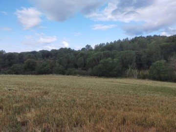 Terreno em Rabós