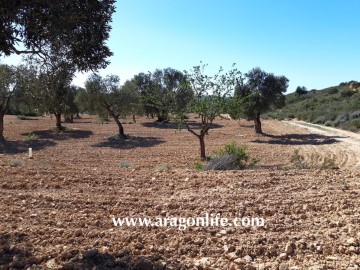 Terrenos en Fabara