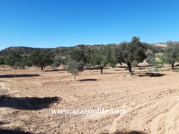 Terreno em Fabara