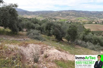 Terrenos en Cortijo de Baratas