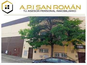 Industrial building / warehouse in Peña Rubia