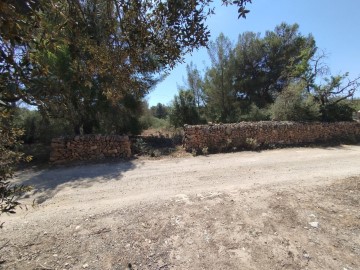 Terrenos en Algaida