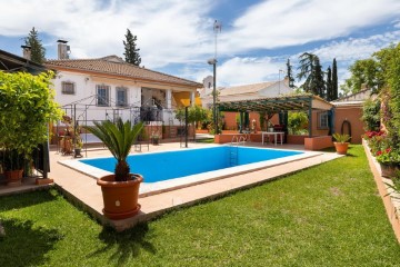 House 8 Bedrooms in Residencial Triana - Barrio Alto