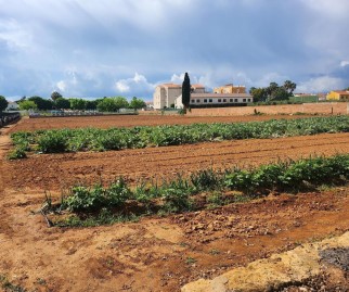 Terreno em Torredembarra Centre