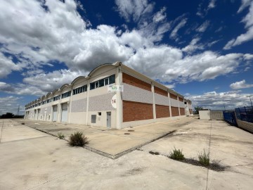 Industrial building / warehouse in Las Fuentes - Cartuja Baja