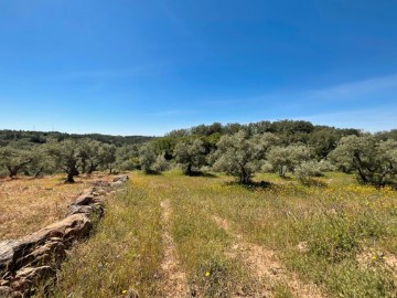 Terre à Valverde de la Vera