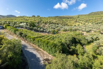 Terre à Pinos Genil