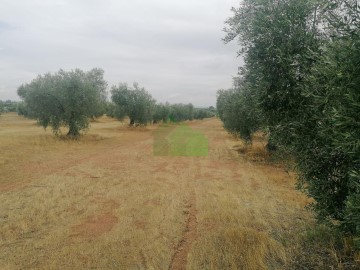 Terrenos en Montijo