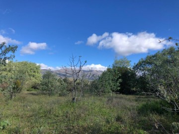 Land in Cuacos de Yuste