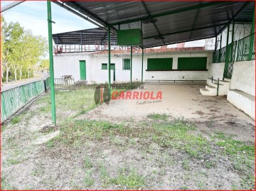 Terrenos en La Torre de Esteban Hambrán