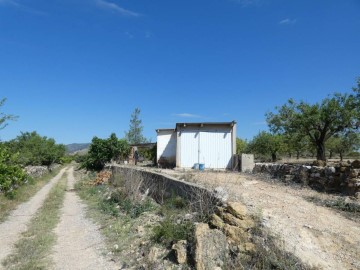 Terre à Cervera del Maestre