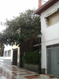 Casa o chalet 4 Habitaciones en Los Pajaritos - Plaza de Toros