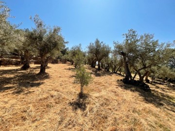 Terre à Valverde de la Vera