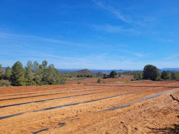 Terrenos en Montesa