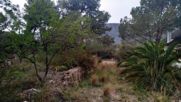 Terrenos en Selva Negra Catalana