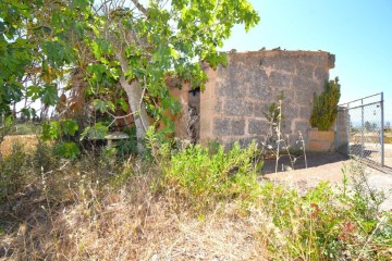 Maisons de campagne à Llubí