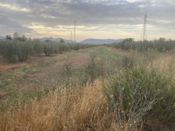 Terreno em El Chaparral