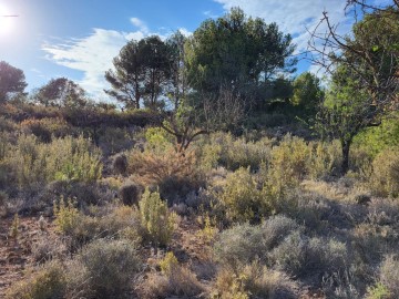 Terrenos en Altura