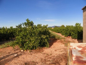 Terrenos en Càlig