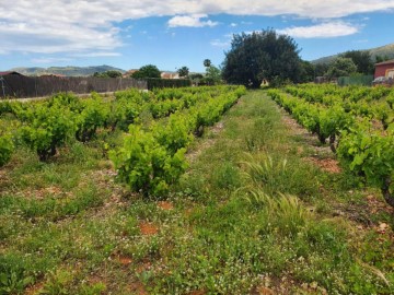 Terreno em Jalón