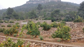 Terrenos en Pla de Montserrat