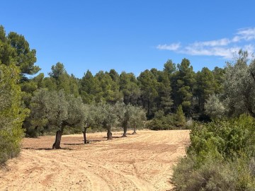 Terrenos en Cretas