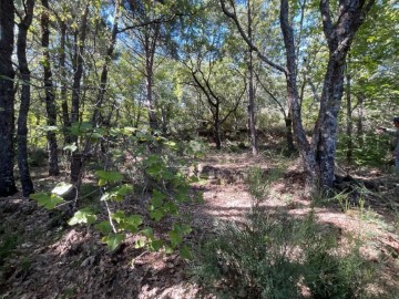 Terre à Valverde de la Vera