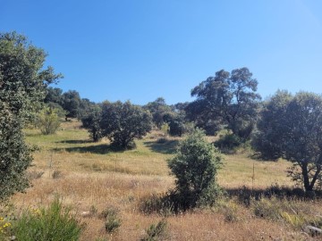 Terrenos en Mejorada