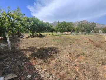 Land in Pujolet