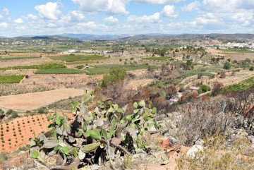 Terre à Montroy