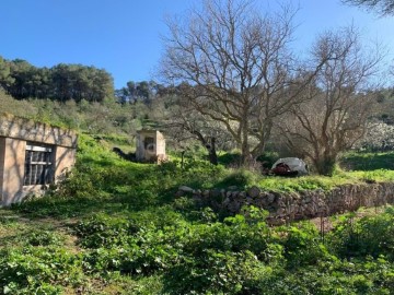 Country homes in Sant Rafel