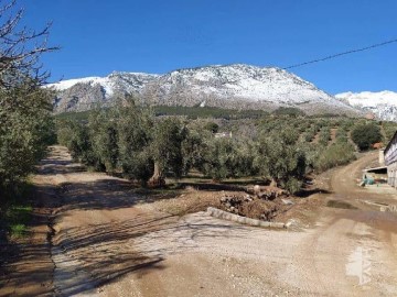 Terrenos en Cabrita