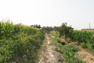 Terrenos en Aljomahima - Ermita
