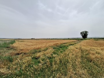 Terrenos en Alcampell