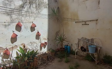 Casa o chalet 3 Habitaciones en Urbanización el Pantano