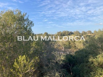 Terrenos en Cales de Mallorca