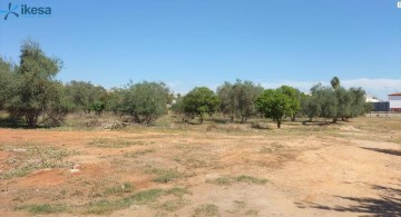 Terrenos en Mairena del Aljarafe Centro