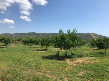 Terreno em Llombai