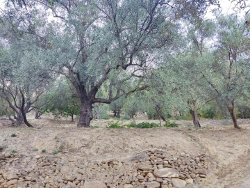 Terrenos en Mondujar