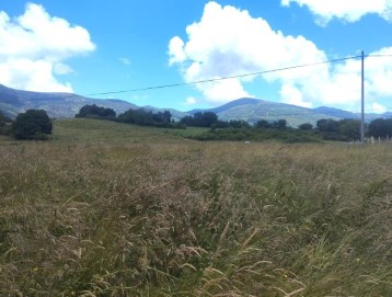 Terrenos en Burceña