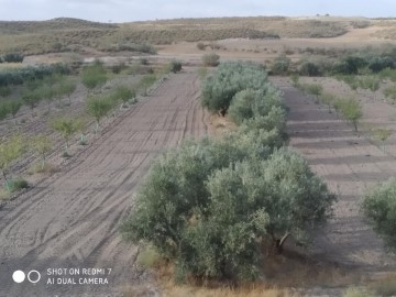 Terrenos en El Margen