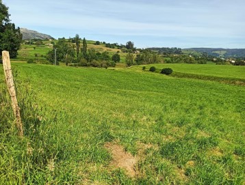 Terrenos en Cabárceno