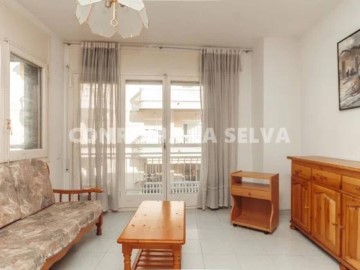 Apartment 3 Bedrooms in Santa Cecília de Voltregà